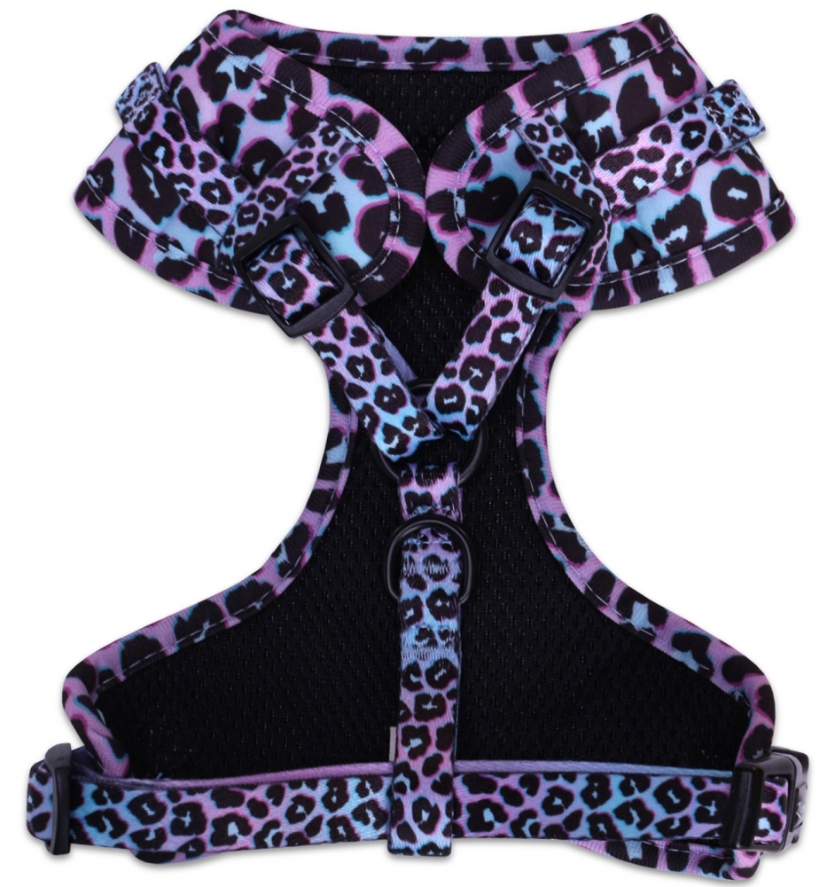 Шлейка LionPets LP-2401-5 (Размер S обхват груди 40-55 см, шея 35-44 см)