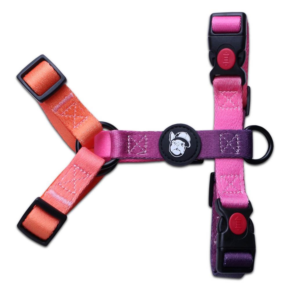 Шлейка LionPets LP23-7 (Размер М обхват груди 36-56 см, шея 31-47 см)