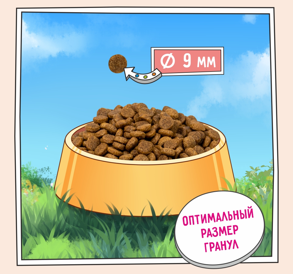 Корм ZILLII Light/Sterilized для взрослых кошек стерилизованных с Белая Рыба с Лососем