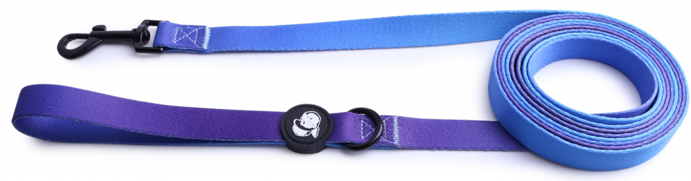 Поводок для собак LionPets с рисунком из полиэстера LP-700-6 (XL-Ширина 2.5 см, длина 3 метра)