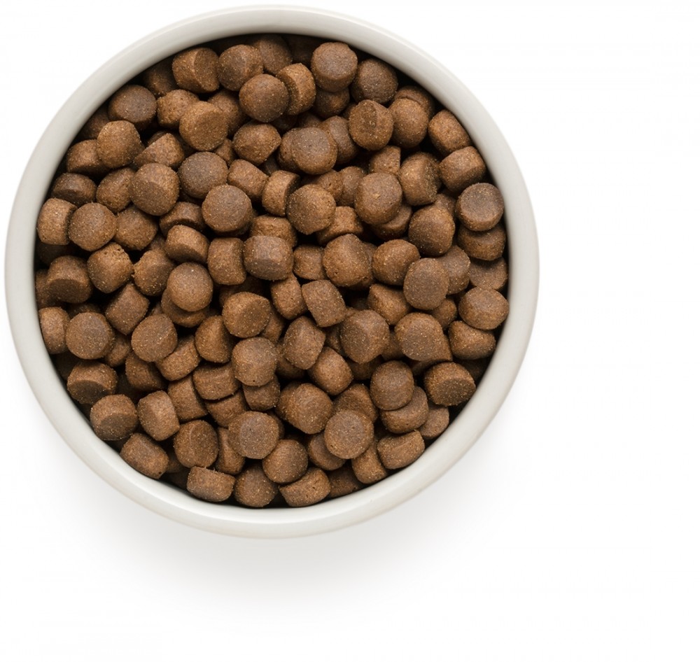 Корм Grandorf Lamb & Turkey Junior Medium & Maxi Holistic для щенков средних и крупных пород от 4 месяцев, беременных и кормящих сук, ягненок с индейкой