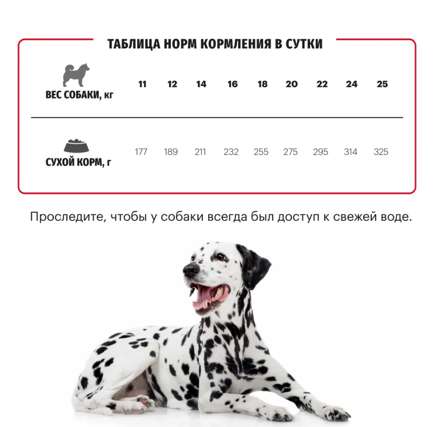 Корм Karmy ADULT MEDIUM для взрослых собак средних пород старше 1 года - индейка