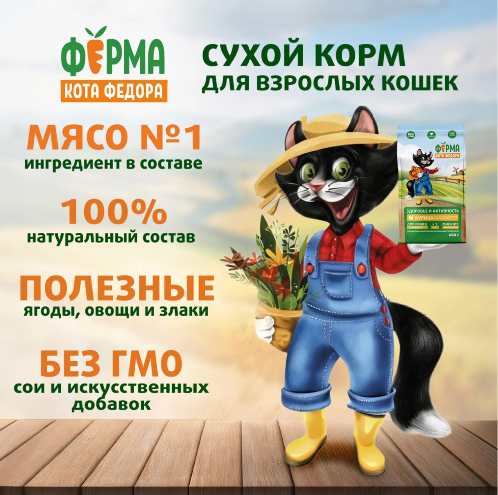 Сухой корм Ферма кота Федора для взрослых кошек с курицей 650 г