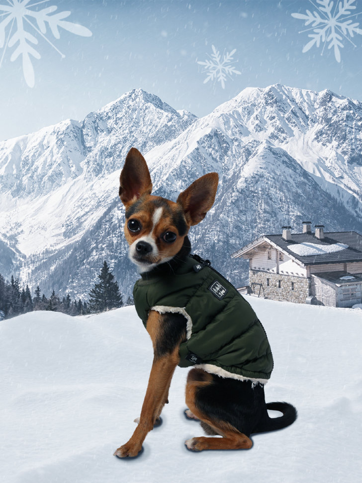 Lion жилет с мехом для собак, размер S. Цвет в ассортименте