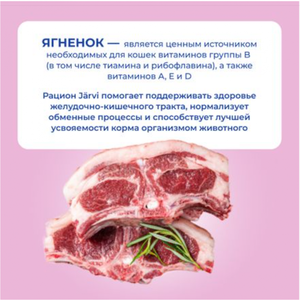 Консерва Jarvi экстра Мит Сенсетив Ягненок (пауч) чувствительное пищеварение для кошек 85 г: СОУС