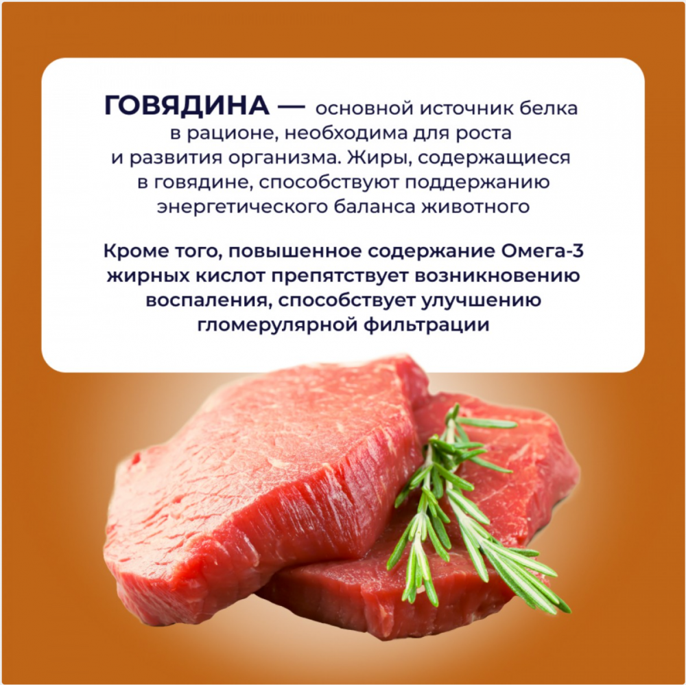 Консерва Jarvi Уринари Ренал Говядина (пауч) для профилактики почек для кошек 85 г: СОУС