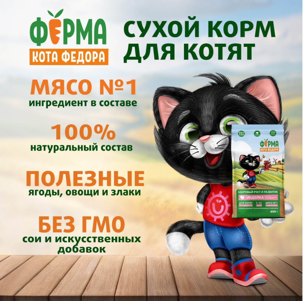 Сухой корм Ферма кота Федора для котят от 1 месяца, беременных и кормящих кошек с индейкой 650 г