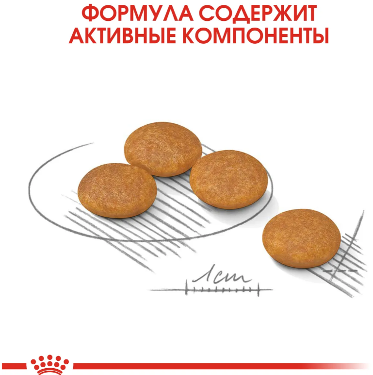 Корм Royal Canin Dermacomfort для малых пород с чувствительной кожей 1 кг