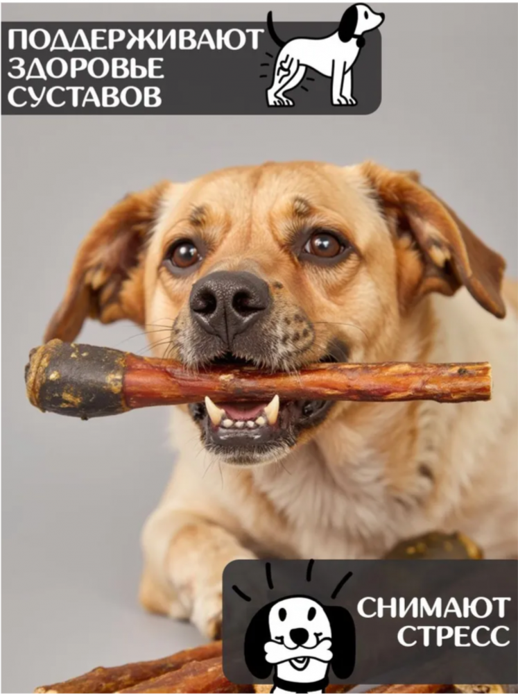 Лакомства Фор Родент Дог КОНСКИЙ корень КРУПНЫЙ 35 см 1000 г УПАКОВКА