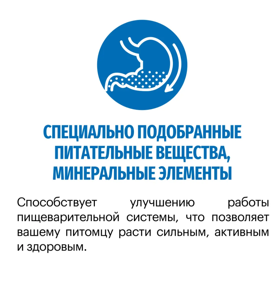 Корм Karmy MAXI ADULT - Индейка. Корм для взрослых собак крупных пород